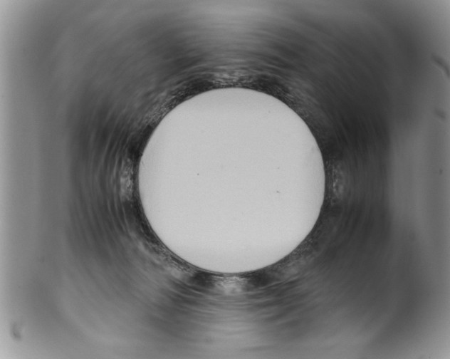 X0000099530226200806131134