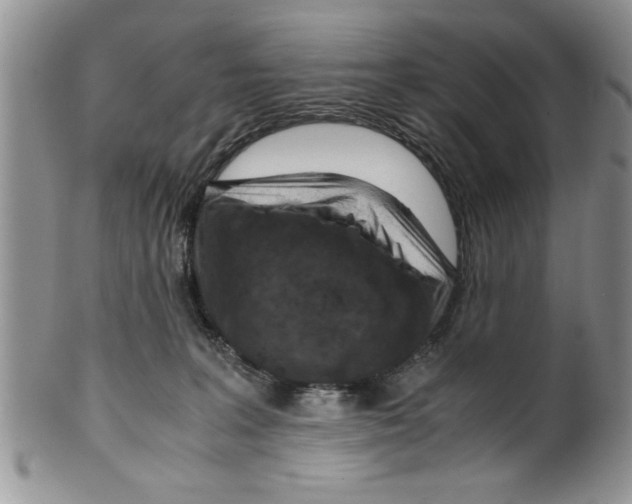 X0000099530227200806131134