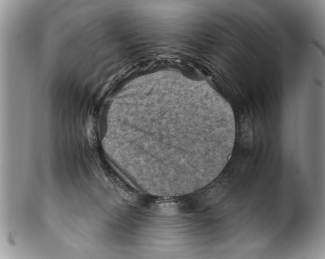 X0000099530228200806131134