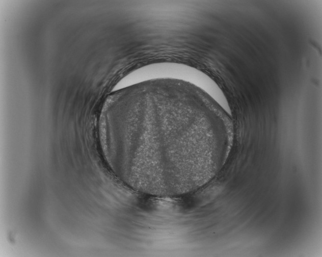 X0000099530229200806131134