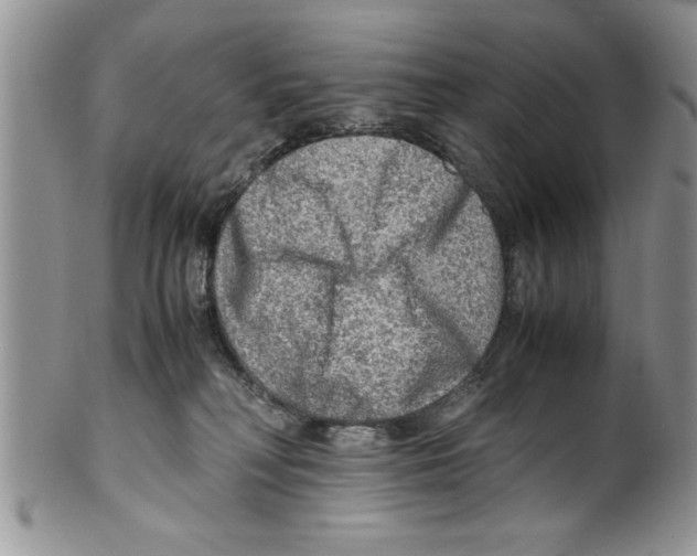 X0000099530230200806131134