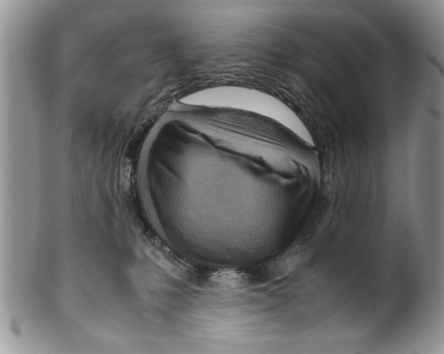 X0000099530231200806131134