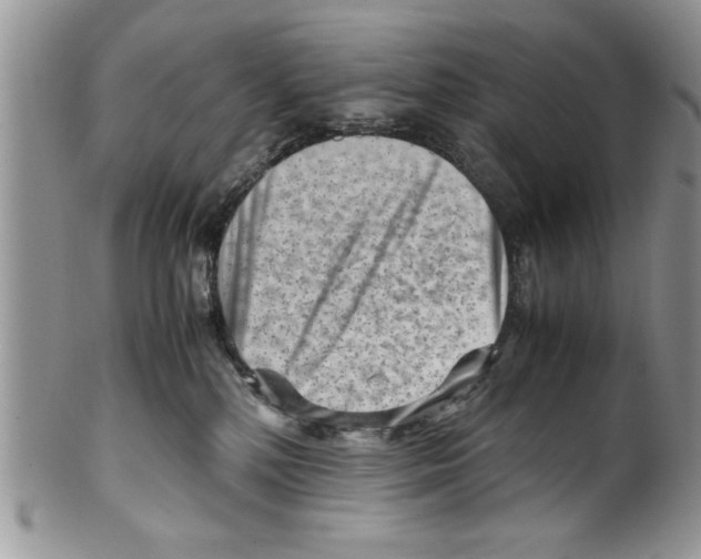 X0000099530232200806131134