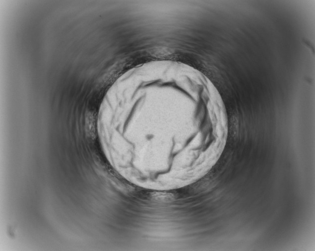 X0000099530234200806131134