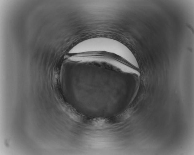 X0000099530235200806131134