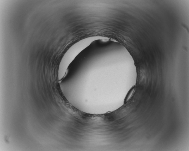 X0000099530236200806131134