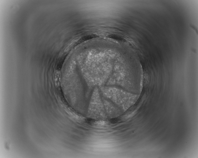 X0000099530237200806131134