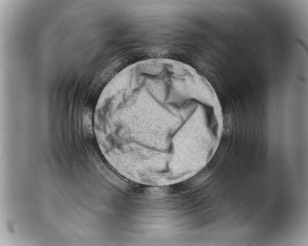 X0000099530238200806131134