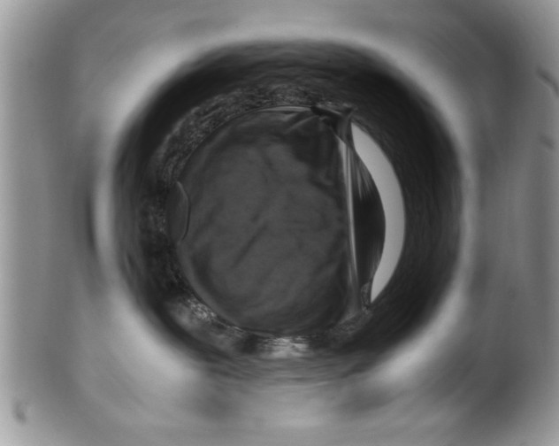 X0000099530239200806131134