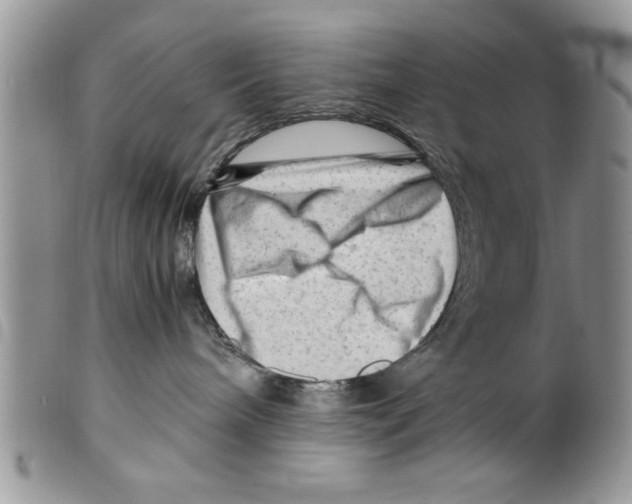 X0000099530240200806131134