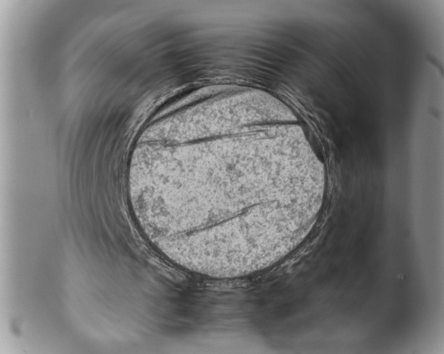 X0000099530241200806131133