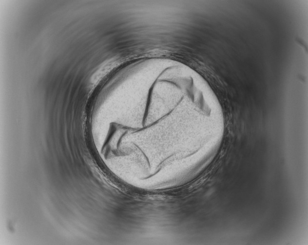 X0000099530242200806131133