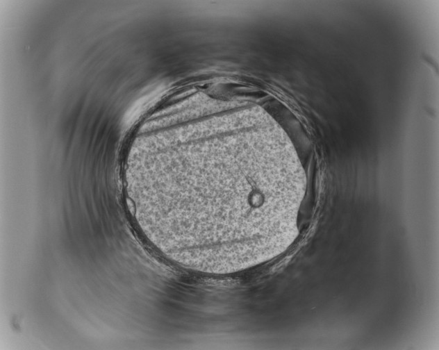 X0000099530245200806131133