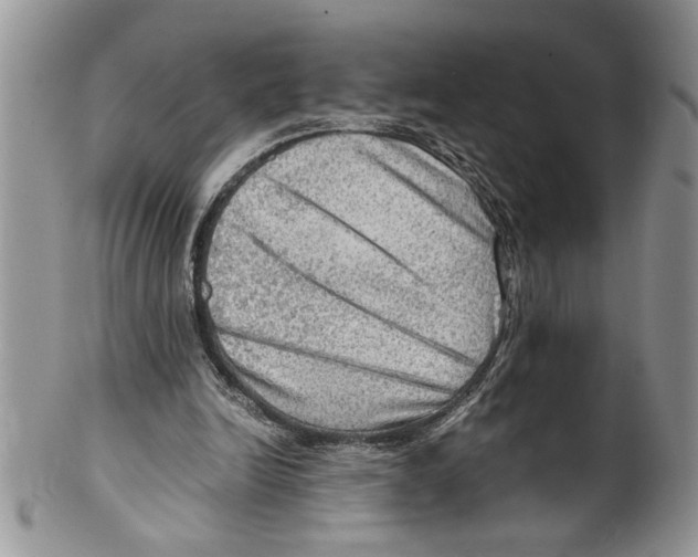 X0000099530246200806131133