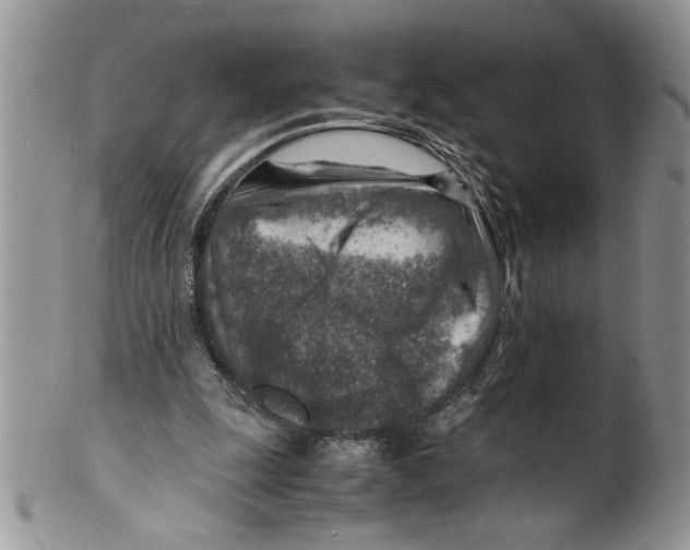 X0000099530247200806131133