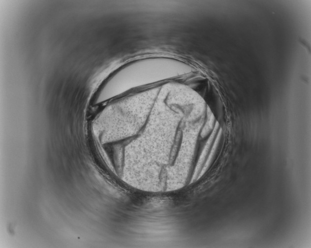 X0000099530248200806131133