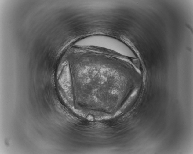 X0000099530249200806131133