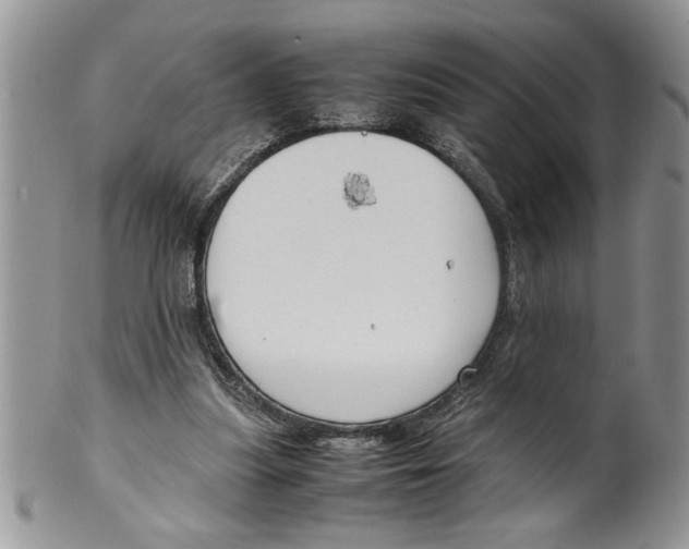 X0000099530251200806131133