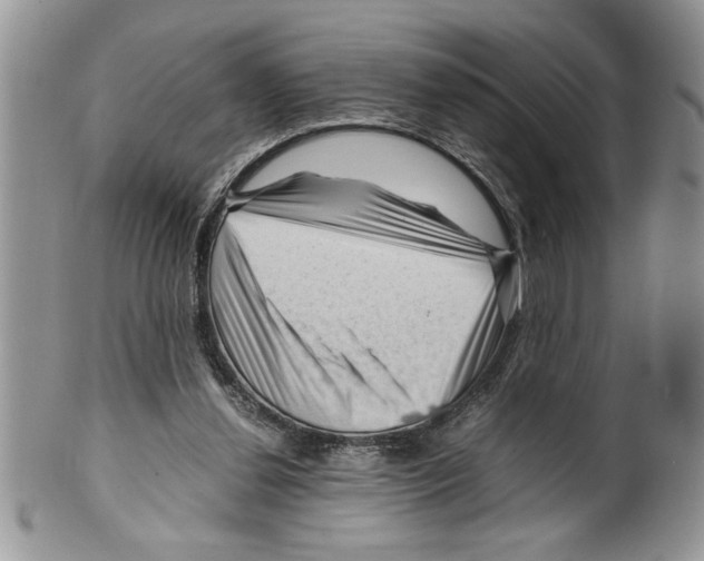 X0000099530252200806131133