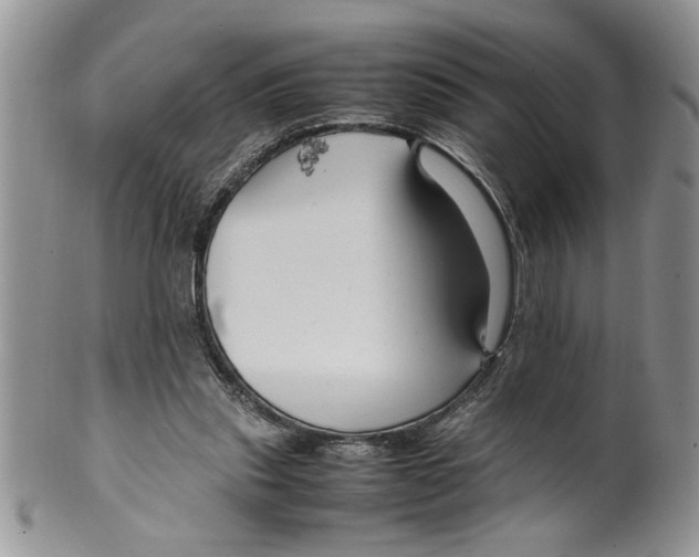 X0000099530253200806131133