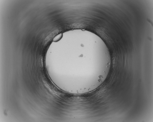 X0000099530254200806131133