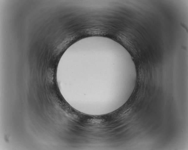 X0000099530255200806131133