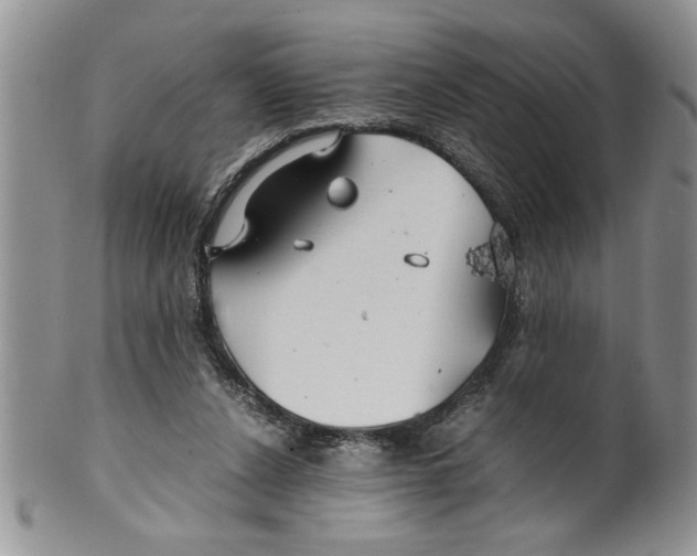 X0000099530256200806131133