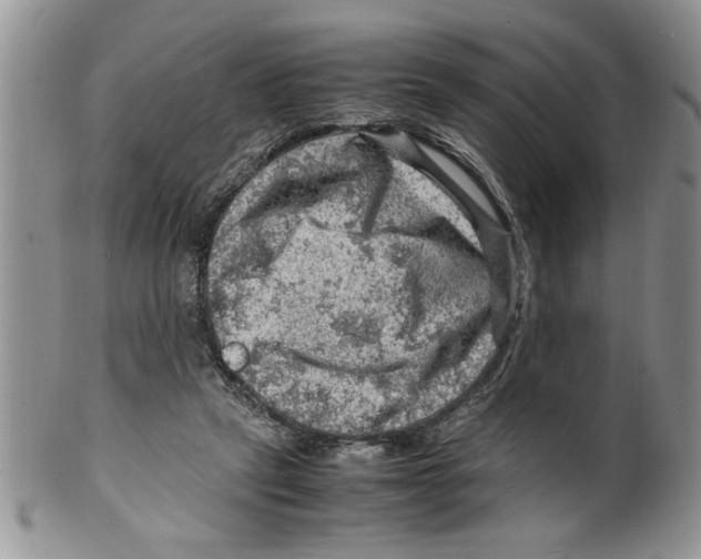 X0000099530257200806131133