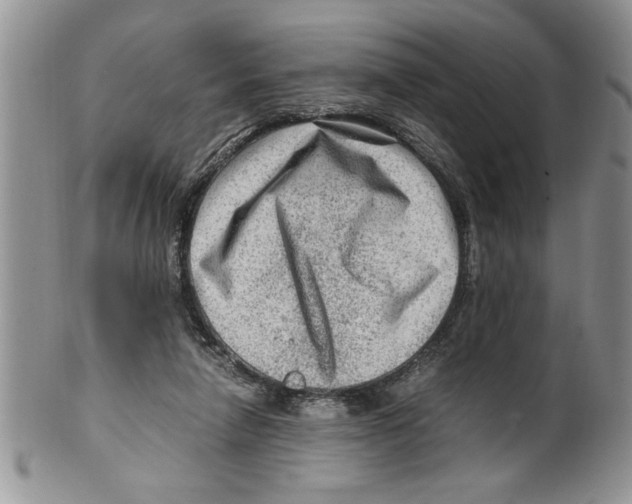 X0000099530258200806131133