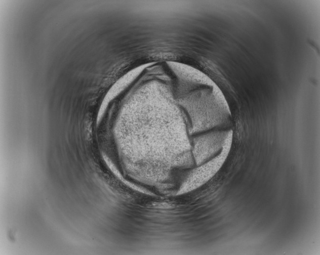 X0000099530259200806131133