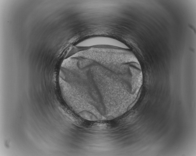 X0000099530260200806131133