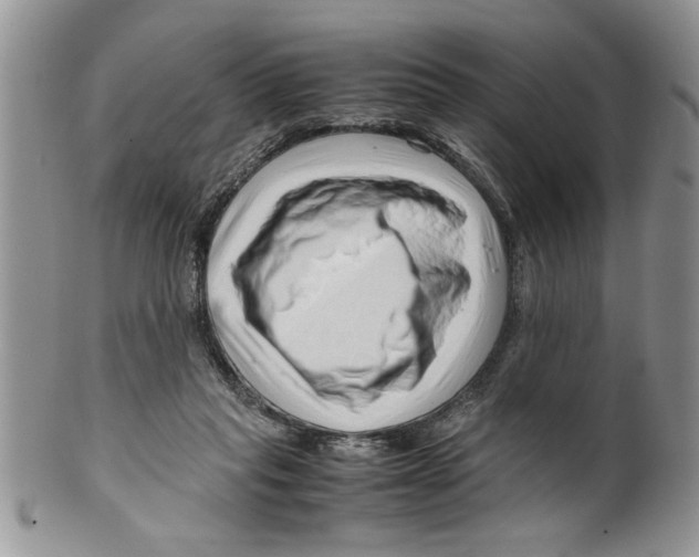 X0000099530261200806131133