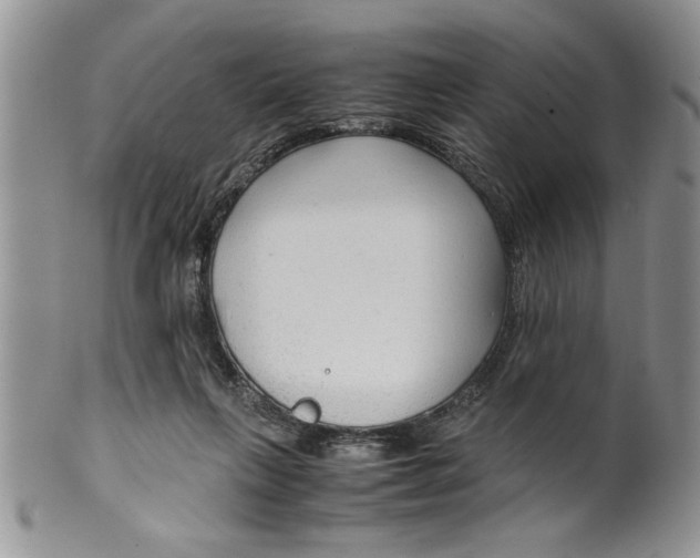 X0000099530263200806131133