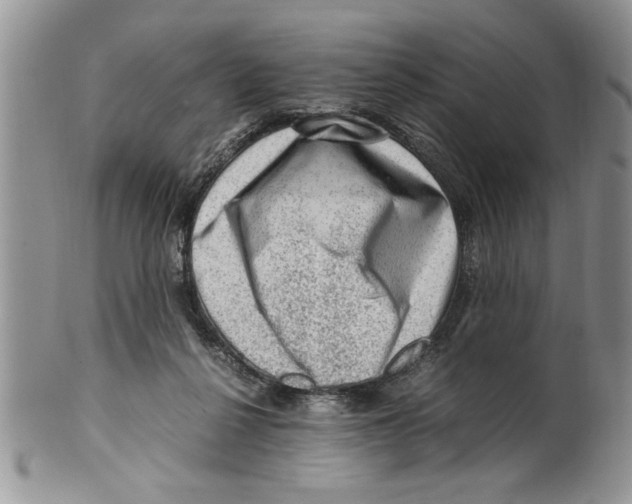 X0000099530264200806131133