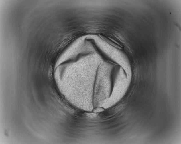 X0000099530265200806131133