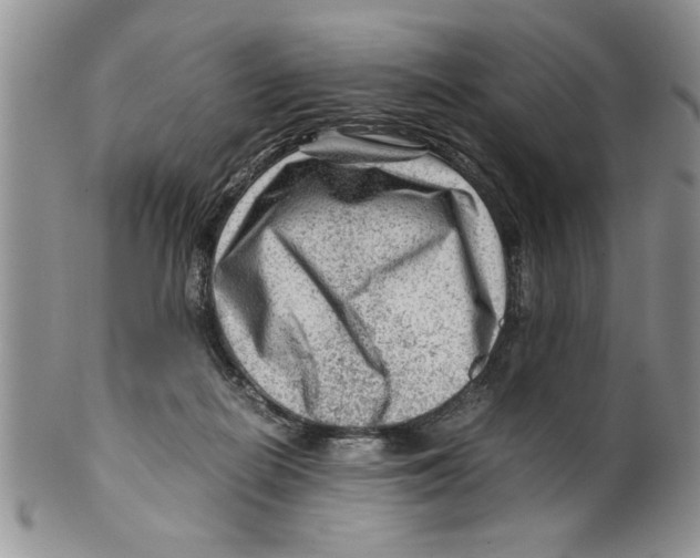 X0000099530266200806131133