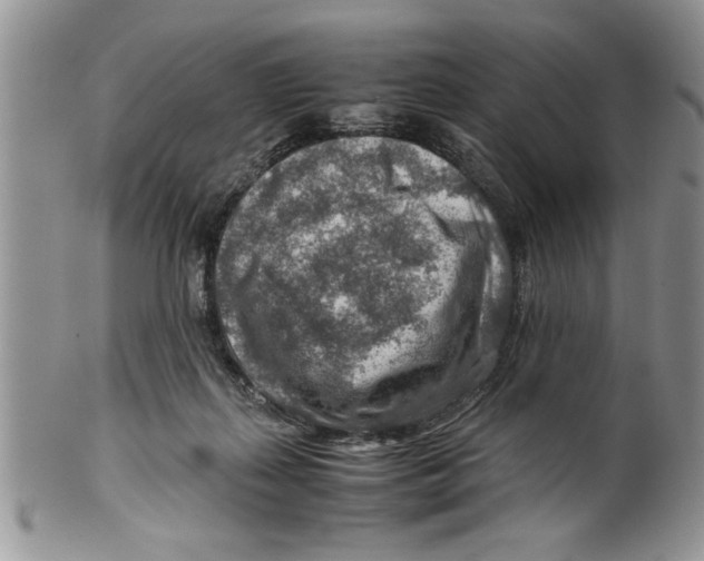 X0000099530267200806131133