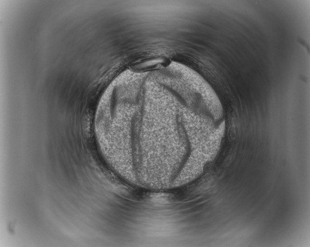 X0000099530268200806131133