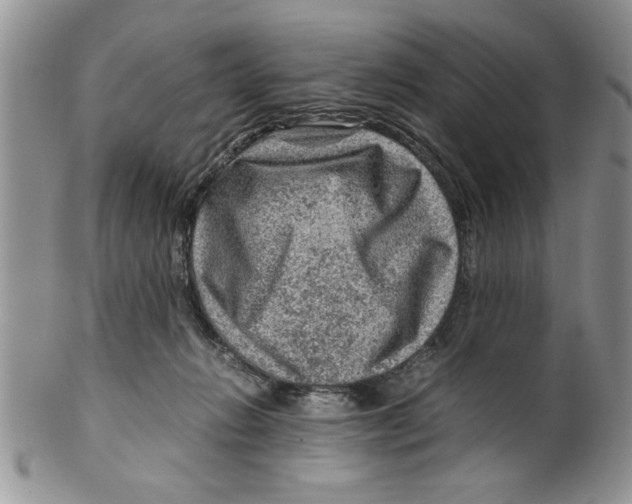 X0000099530270200806131134