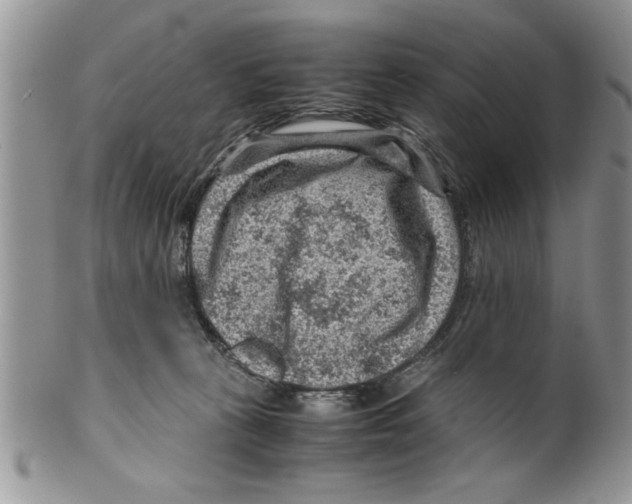 X0000099530273200806131134