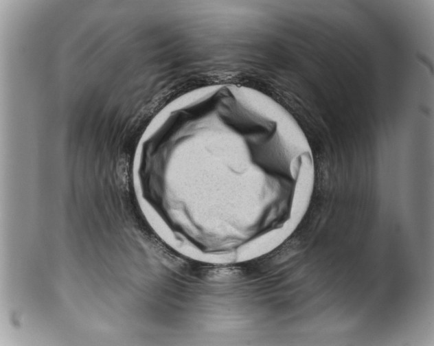 X0000099530274200806131134