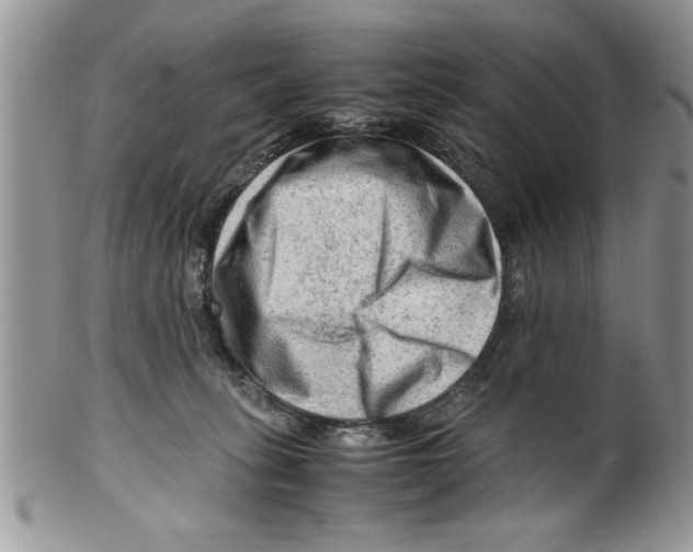 X0000099530275200806131134