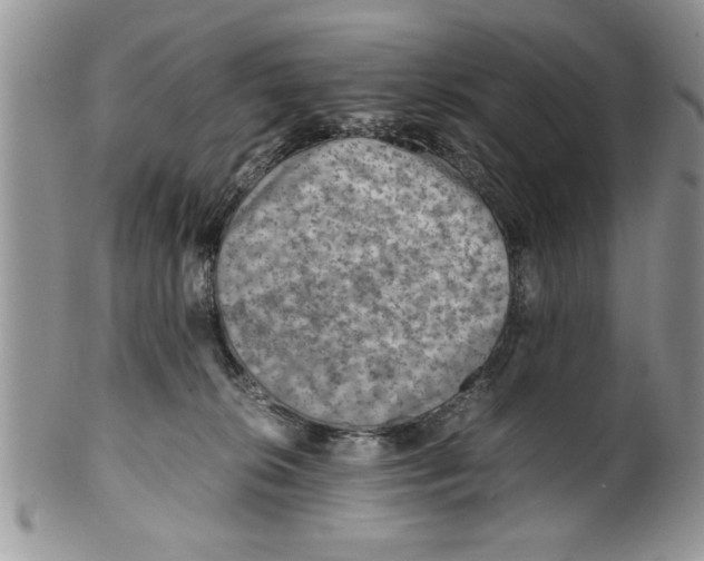 X0000099530276200806131134