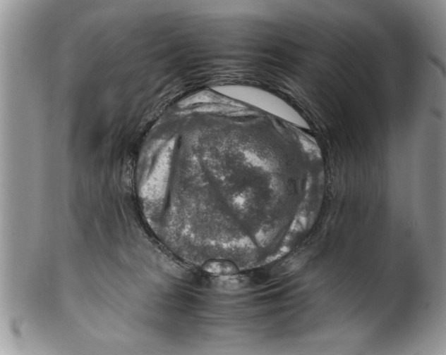 X0000099530277200806131134