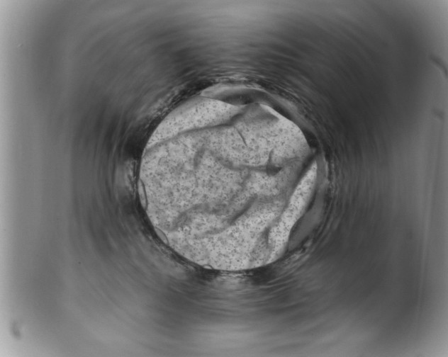 X0000099530280200806131134