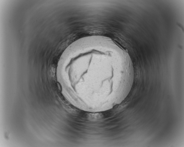 X0000099530281200806131134