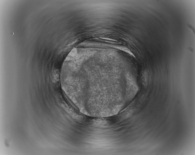 X0000099530284200806131134