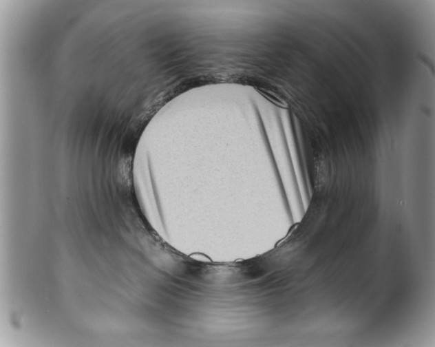 X0000099530286200806131134