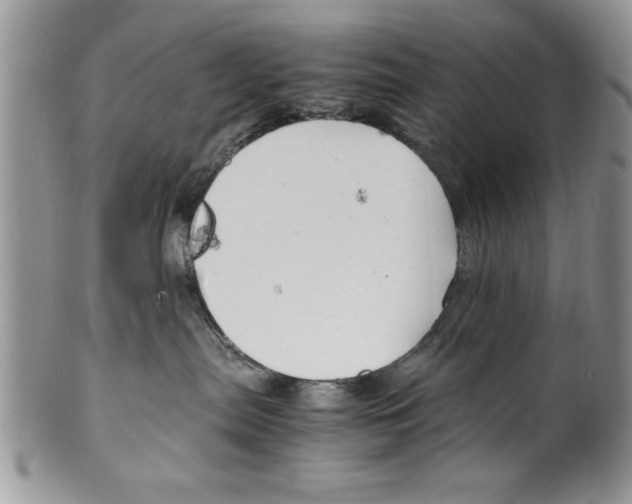 X0000099530287200806131134