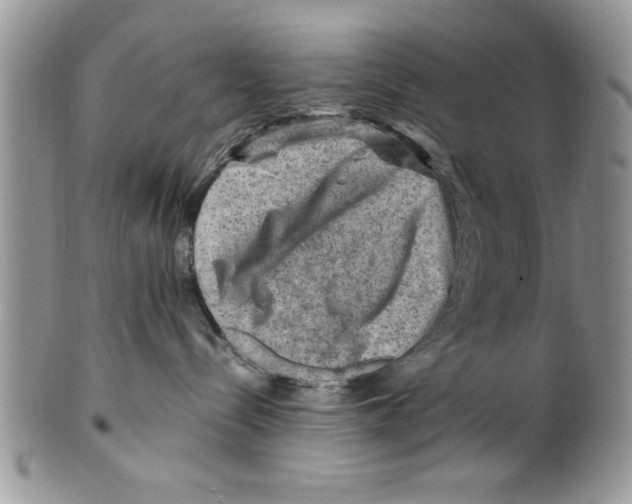 X0000099530288200806131134